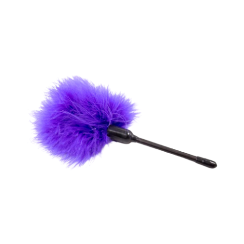 Plumín Violeta 272001006